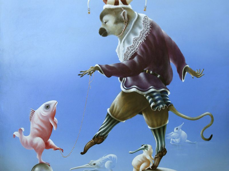 Aapje op het slappe koord