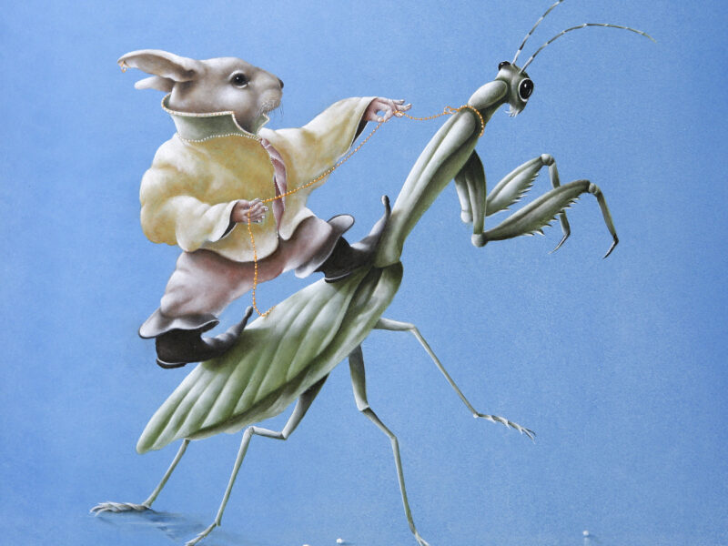 Dans der Sprinkhanen 1