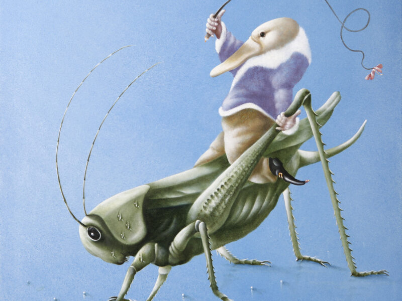 Dans der Sprinkhanen 2