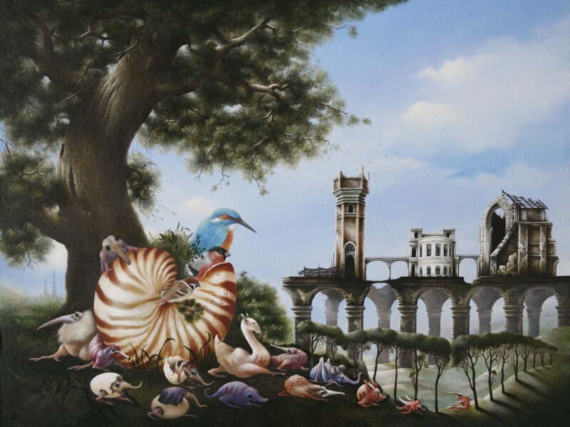 Alcedo en zijn Companen