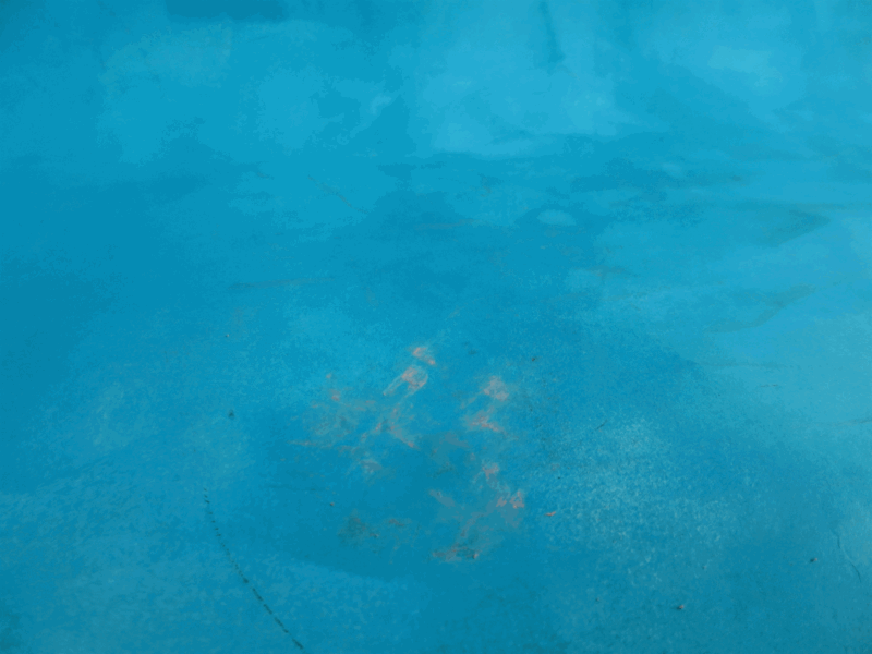 Ei Toeterman – Eugene Peters